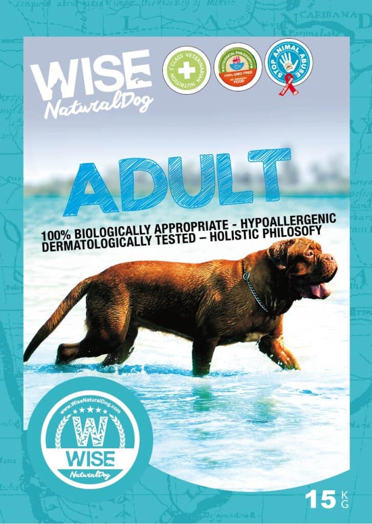 Adult